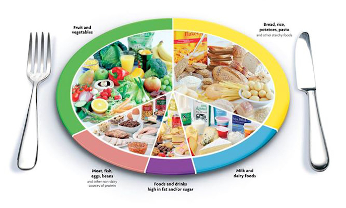 anabolic diet foods