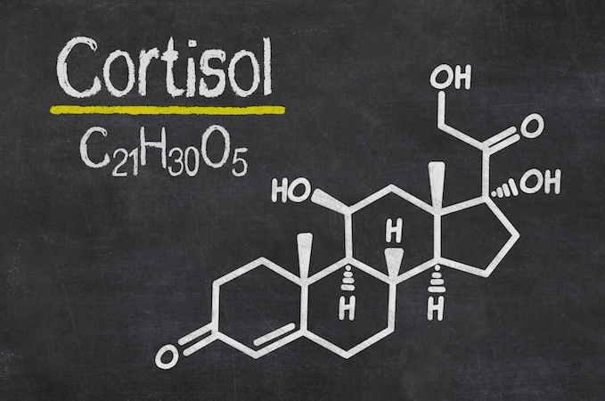 control your cortisol