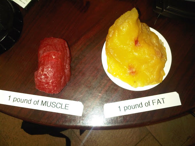 does muscle weigh more than fat